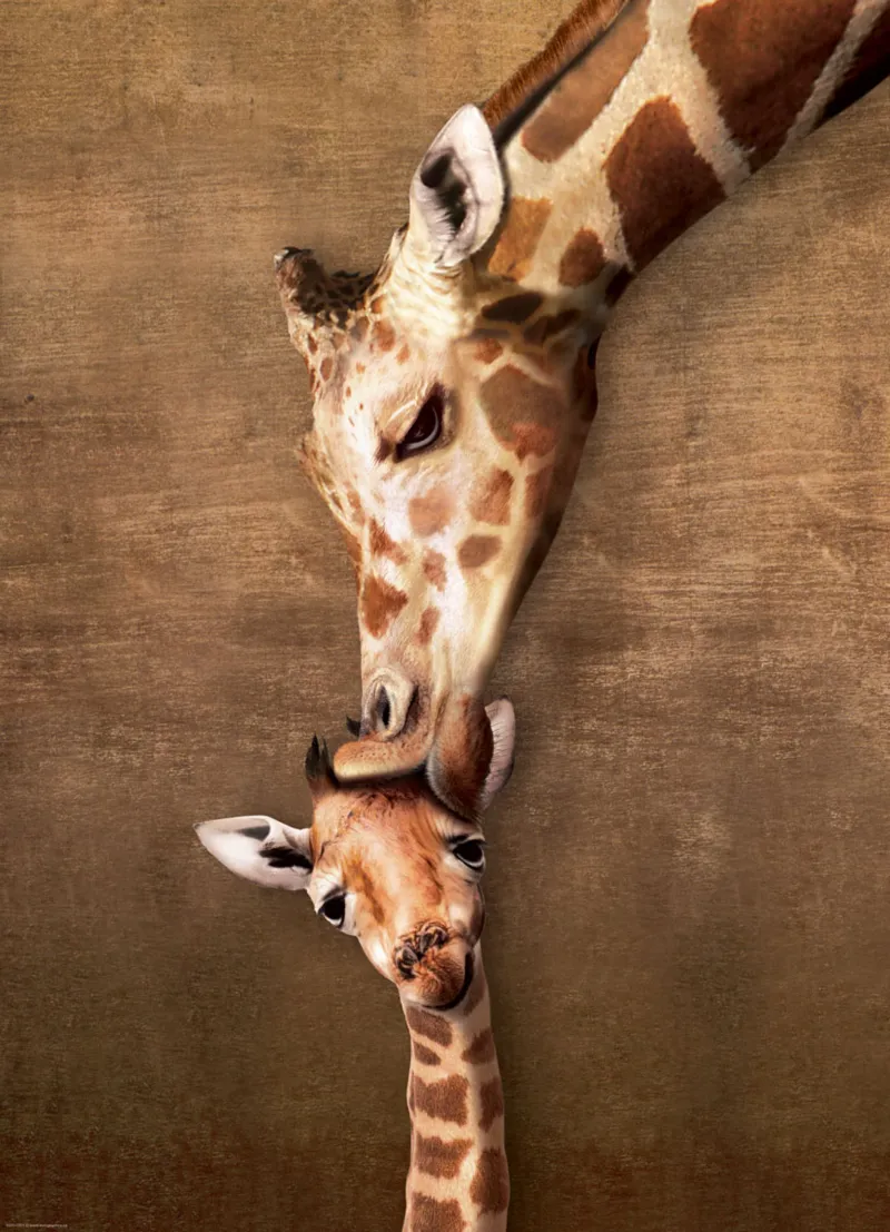 Mutter- und Babygiraffe