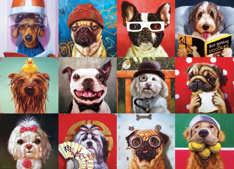 Funny Dogs
