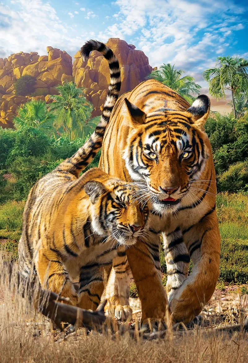 Save the Planet - Tigers