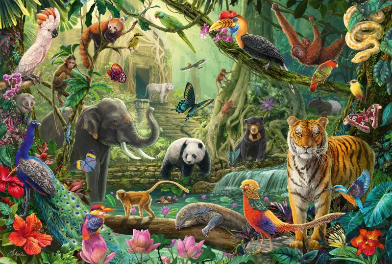 Bunte Tierwelt im Dschungel
