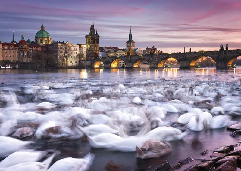 Christian Ringer - Prague