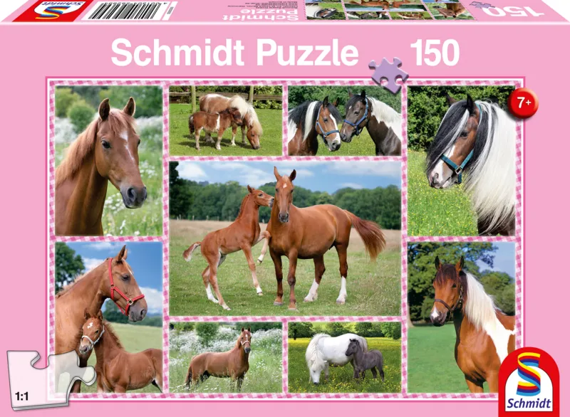 Pferdeträume