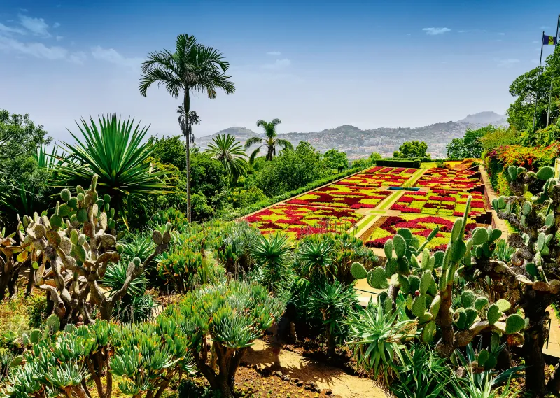 Botanischer Garten, Madeira