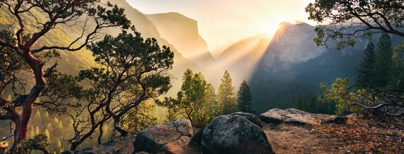 Nature Edition N°10 - Yosemite Park