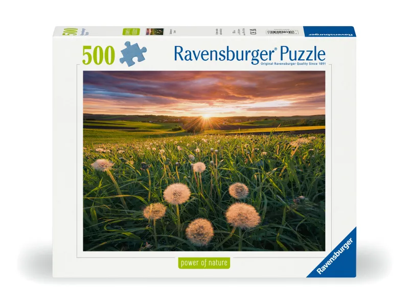 Nature Edition - Pusteblumen im Sonnenuntergang