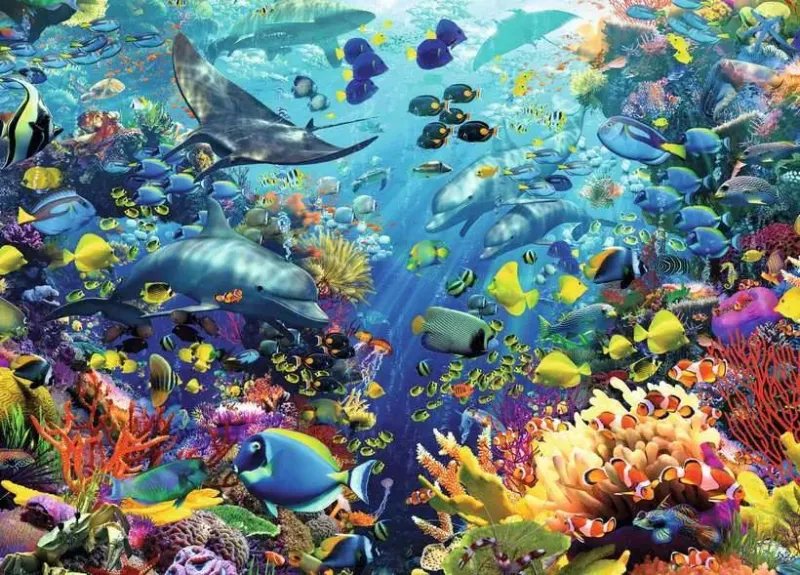Unterwasserwelt