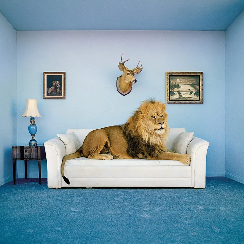 Frame Me Up - The Master of the House