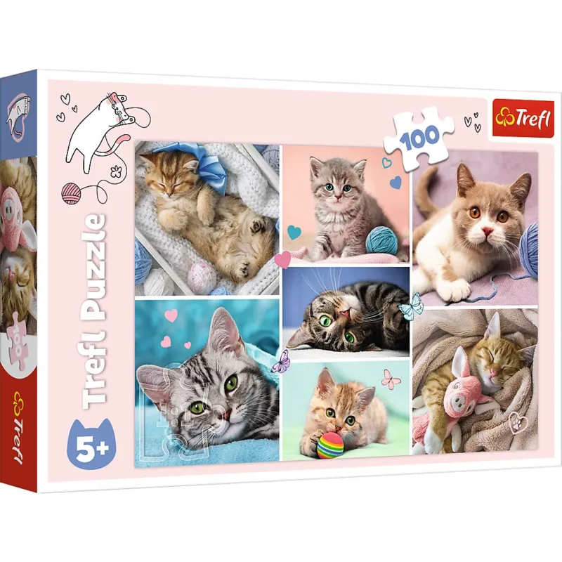 World of Cats