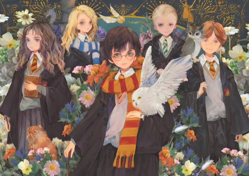 Harry Potter