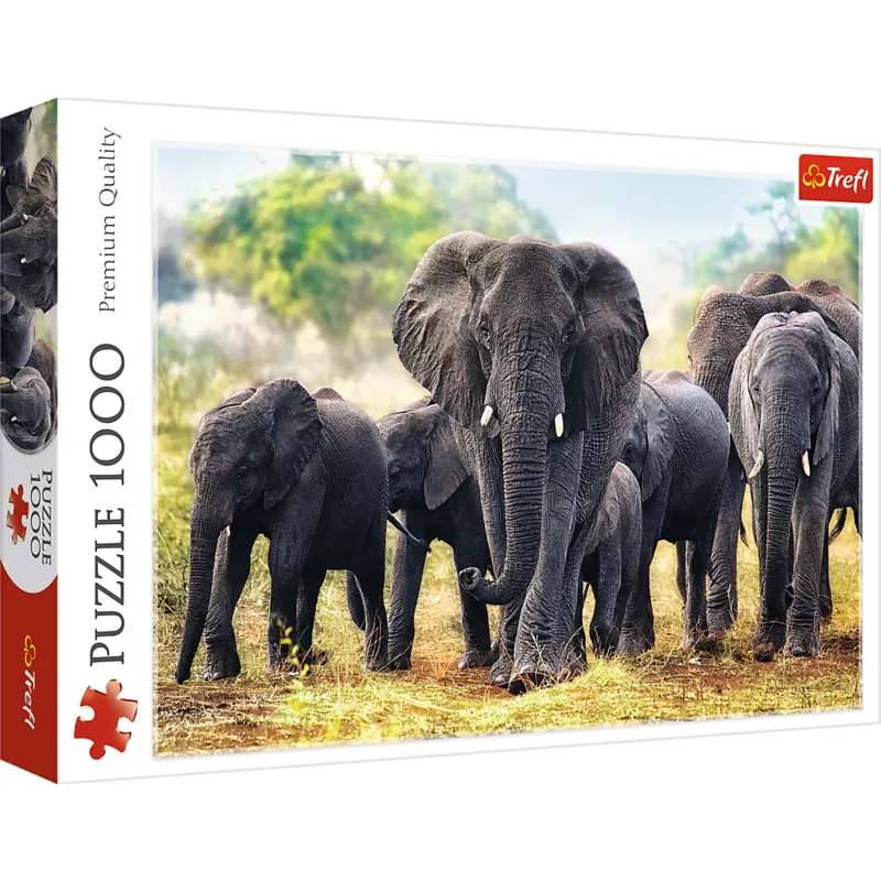 African Elephants