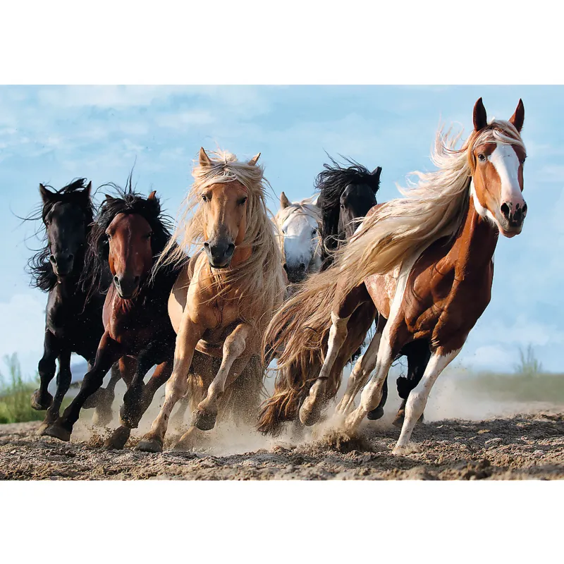 Galopping Horses