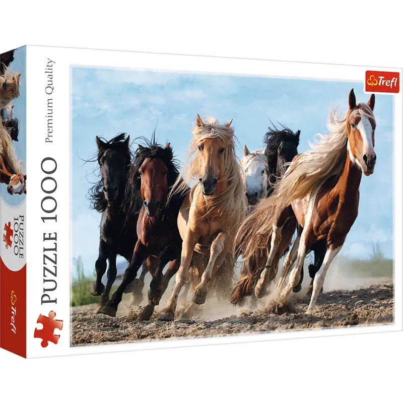 Galopping Horses