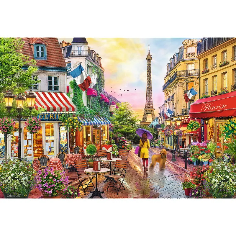Paris charm