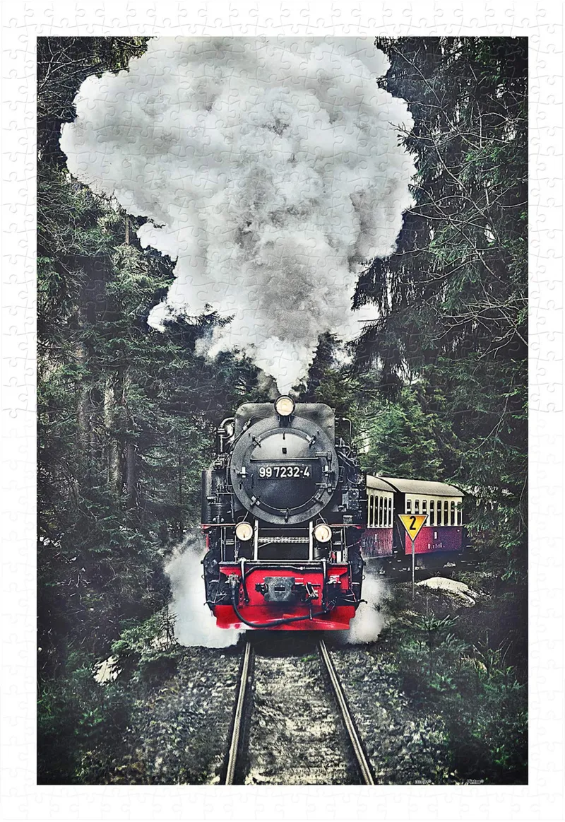Puzzle aus Kunststoff - The Steam Train, Switzerland