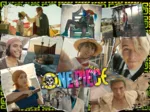 Auf der Suche nach One Piece