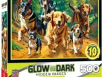 Hidden Images - Trailrunning - Glow in the Dark