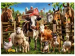 Farmyard Buddies