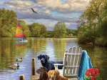 Dog Day Afternoon