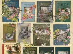 The Nature of Books