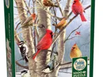 Wintervögel