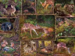 Into the Woods - Family Pieces