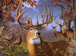 XXL Teile - Deer and Pheasant