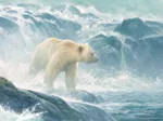 XXL Teile - Salmon Watch - Spirit Bear