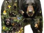 XXL Teile - Greg Giordano - Forest Bear