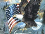 XXL Teile - American Eagle