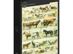 Abbildung aus dem Larousse pour Tous: Säugetiere, 19. Jahrhundert