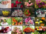 Collage - Blumen