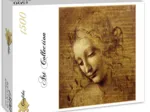 Leonardo da Vinci: Gesicht der Giovane Fanciulla, 1508