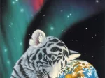 Schim Schimmel - Earth Light