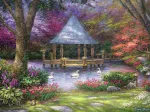 Chuck Pinson - Swan Pond