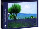 Mont Ventoux