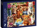 Kittens in the Potting Shed