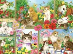 Katzen und Kätzchen