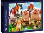 Petting Farm