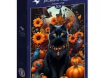 Autumn Cat
