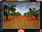 Mohnfeld