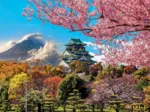 Osaka Castle. Japan