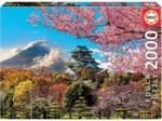 Osaka Castle. Japan