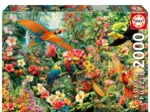 Amazon Birds
