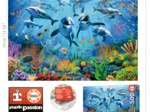 Party under the sea