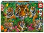 Tiger Jungle