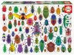 Beetles