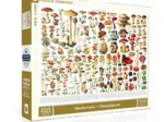 Mushrooms - Champignons