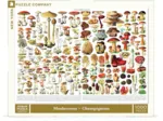Mushrooms - Champignons