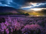 XXL Teile - Heathered Highland Glen