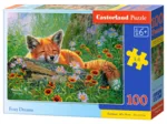 Foxy Dreams